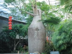-北京植物园-展览温室