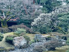 -京都御所
