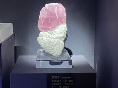 -湖南省地质博物馆