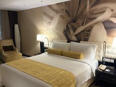 -国家会议中心大酒店