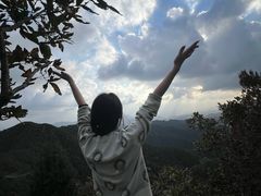 -午潮山国家森林公园