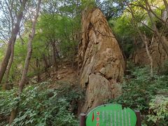 -大岭沟猕猴桃谷风景区