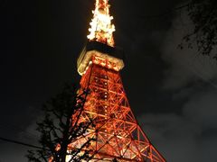 -东京塔海贼王主题公园