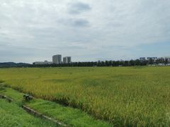 -光明小镇欢乐田园