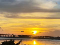 -宝安西湾红树林湿地公园