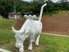 -大连铭湖国际观光牧场