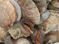 -宾朋海鲜特色美食餐厅·纯手工鲅鱼水饺(兴海路店)