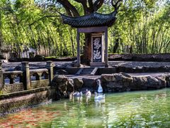 -兰亭风景区