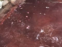 -华山御温泉度假村
