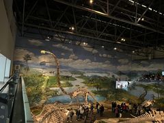 -自贡恐龙博物馆