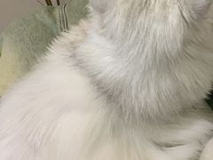 -平行世界·猫咖(首经贸店)