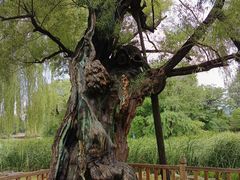 -承德避暑山庄景区