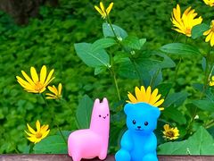 -兰熊鲜奶(颐堤港店)