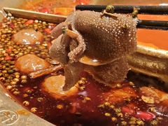 -哥老官重庆美蛙鱼头(五角场合生汇店)