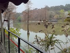 -鹿鸣酒家(越秀店)