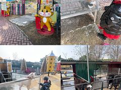 -上海佘山世茂艾美酒店