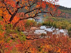 -塔川景区
