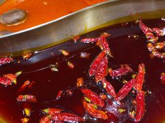 -小龙坎火锅(总店)