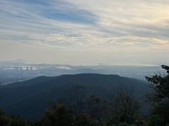 -惠山国家森林公园