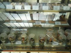 -广州白云机场雅高铂尔曼大酒店