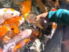 -杭州海底世界