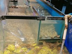 -遇上西雅图多融合海鲜自助餐厅(中房金谊广场店)