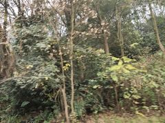 -周立波故居