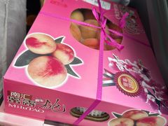 -南汇新场正宗水蜜桃采摘