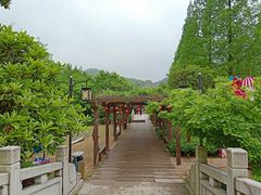 -白马涧龙池景区