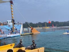 -秦皇岛乐岛海洋王国