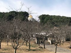 -苏州上方山国家森林公园