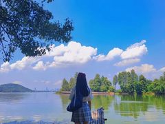 -东湖落雁景区