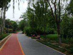 -大兴滨河森林公园