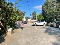 -荣德灶台鱼(圣泉寺店)