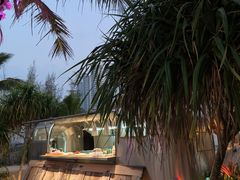 -精酿农场Brew Farm·沙漠绿洲餐厅