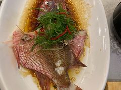 清蒸红鱼-外沙疍家棚酒楼