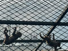 -水上乐园·欢乐世界