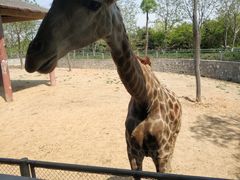 -石家庄市动物园