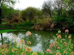 -西溪国家湿地公园