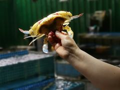 -霞涌市场海鲜摆卖区