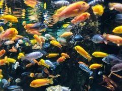 -太平洋海底世界