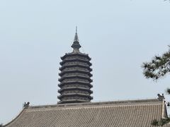-西海子公园