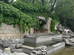 -团结湖公园