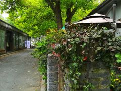-凤凰御元艺术基地