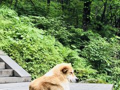 -武当山风景区