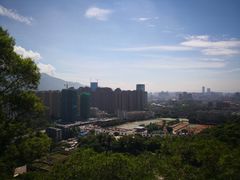 -金鸡山公园