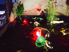 -新悦·霞浦海鲜生(上下杭店)