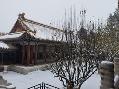-颐和园