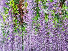 -宝岩生态观光园