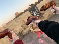 -迪士尼火鸡腿